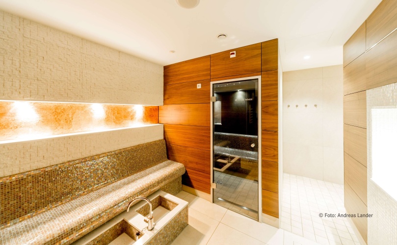 Dorint Herrenkrug Parkhotel Magdeburg photo 9
