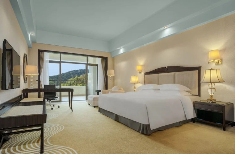 Executive Double room with balcony and with mountain view