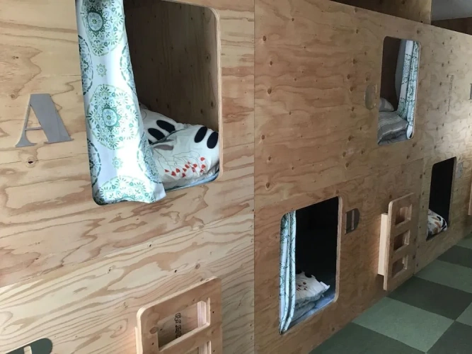Guest rooms