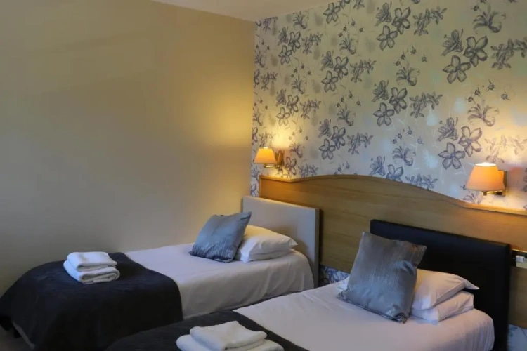 Standard Twin room with garden view