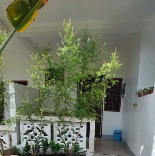 Standard Double room with courtyard view