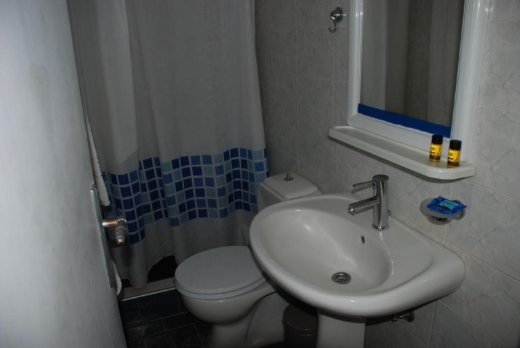 Standard Double room with garden view