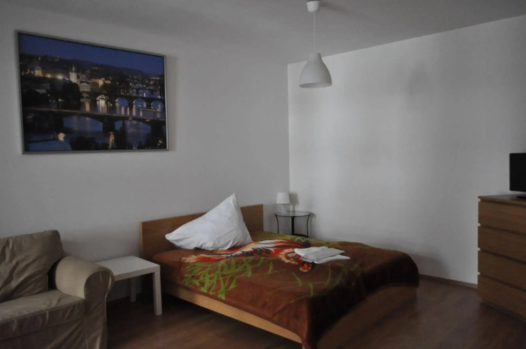 Bright spacious apartment