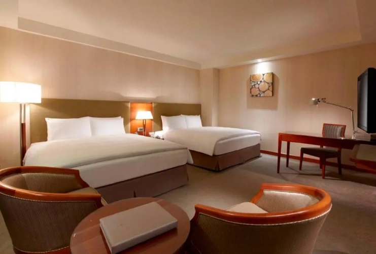 Deluxe Double room with view