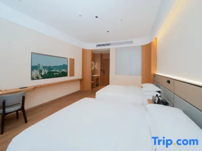 Business Twin room with city view