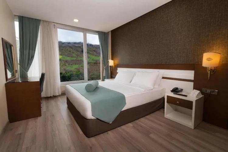 Double room with mountain view