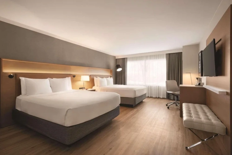 Premium Quadruple room