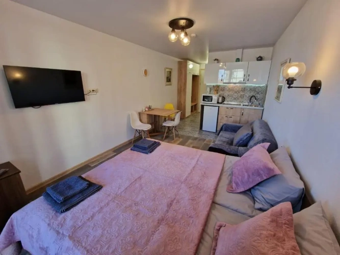 1 Bedroom Apartment