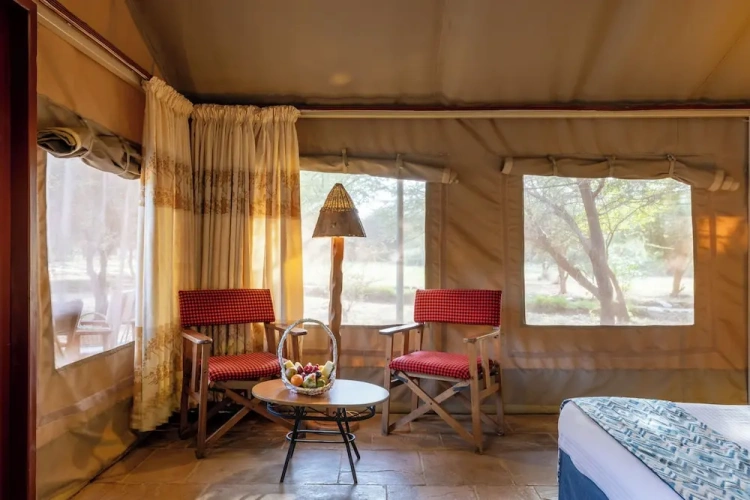Standard Twin room with balcony and with garden view