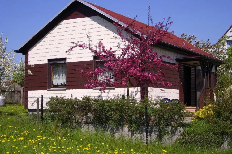 Waldblick - a10644