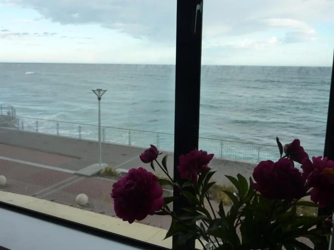 2 Bedrooms Apartment with ocean view