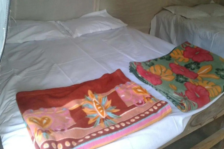 Dandeli Mysa RC - Hostel