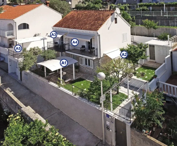 Standard Family Studio