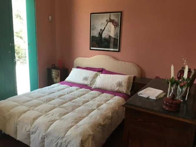 Standard Double room with balcony and with view