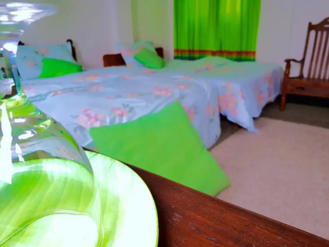 Leisure Villa