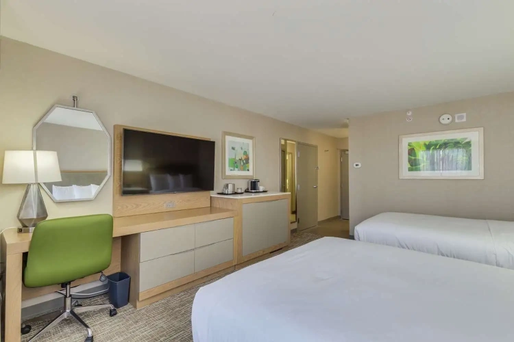 Standard Quadruple room with pool view