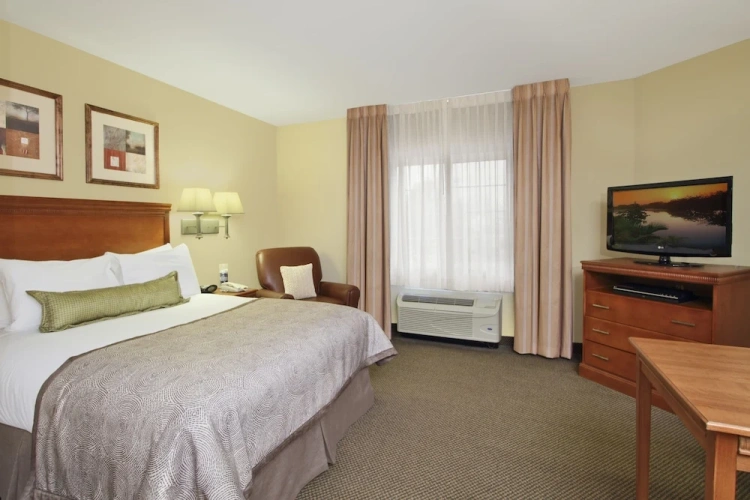 1 Bedroom Suite