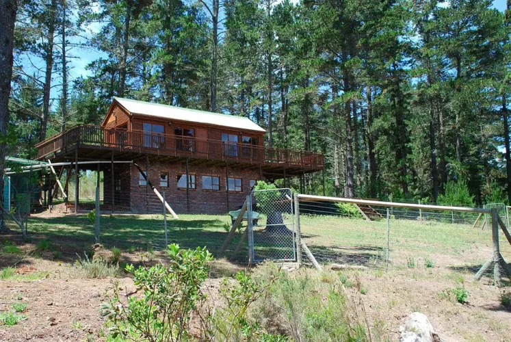Lake Views