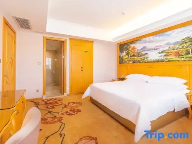 Luxury Double Suite with city view
