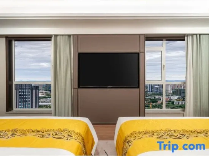 Deluxe Twin room with city view