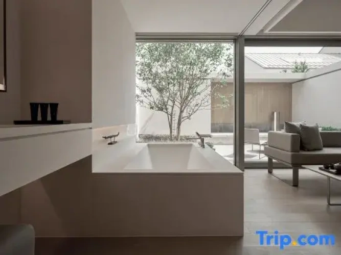Standard Double room with courtyard view