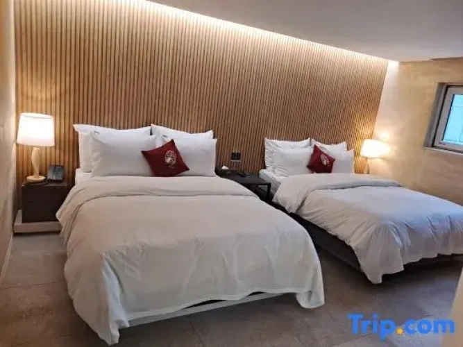 Twin Suite