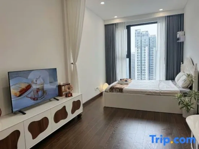 1 Bedroom Studio