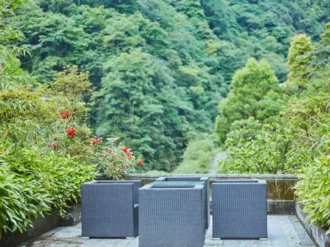 Chal Yunyi · Time Qingcheng Forest Private Soup House