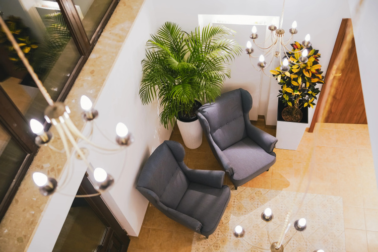 Aparthotel Ventus Rosa