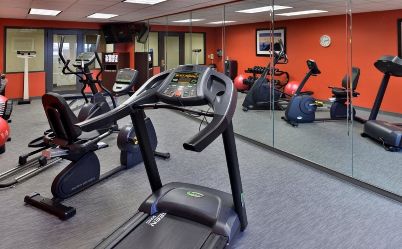 Holiday Inn Express & Suites Tampa Airport photo 23