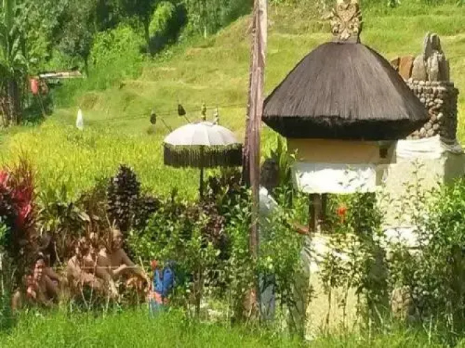 Dasa Vayu Cottage