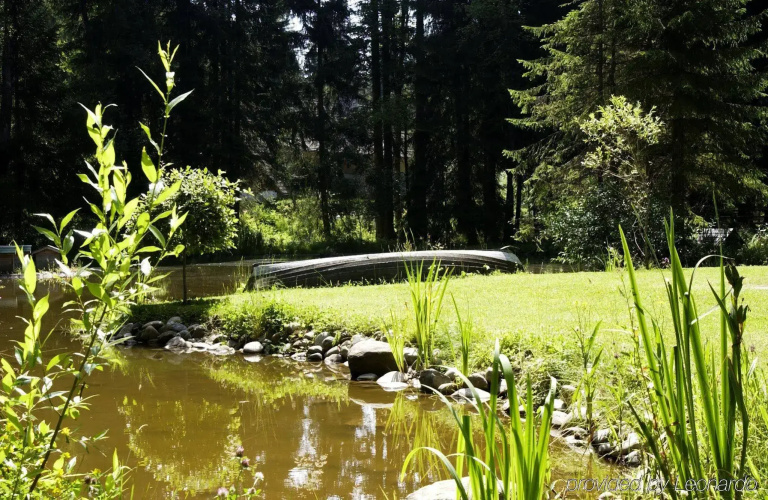 Parkhotel Adler, Bild 13