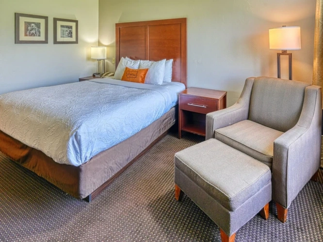 Standard Single room