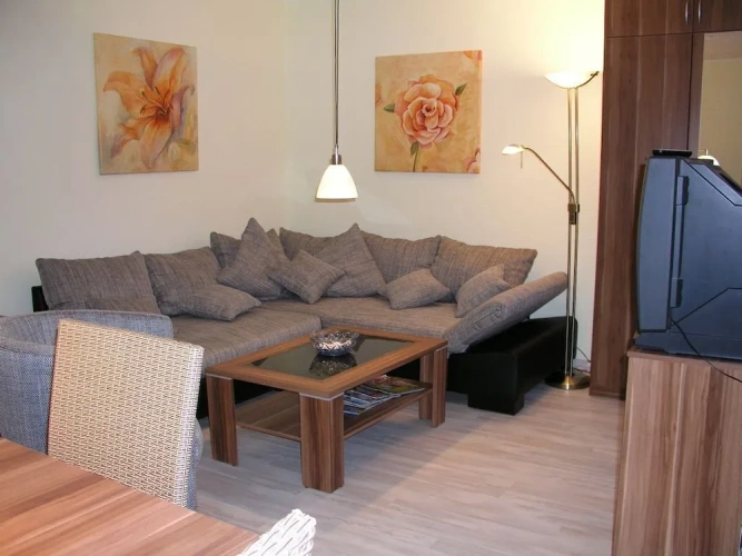Apartment with garden view
