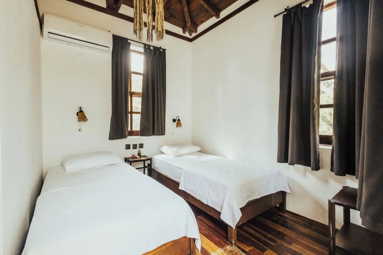 Standard Twin room with garden view