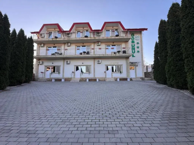 Vila Gorunul