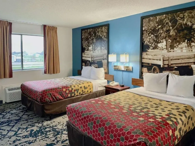 Standard Quadruple room