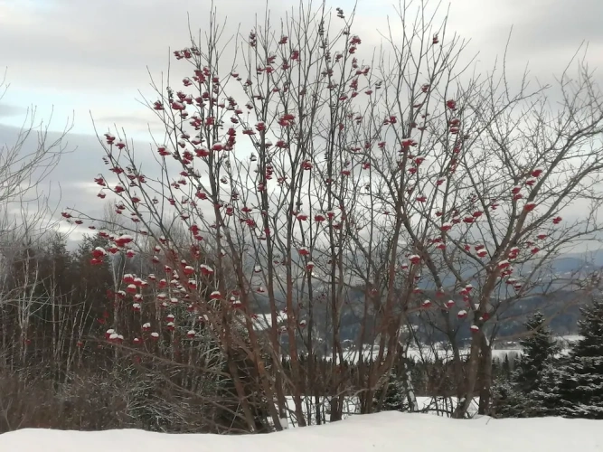 Outside