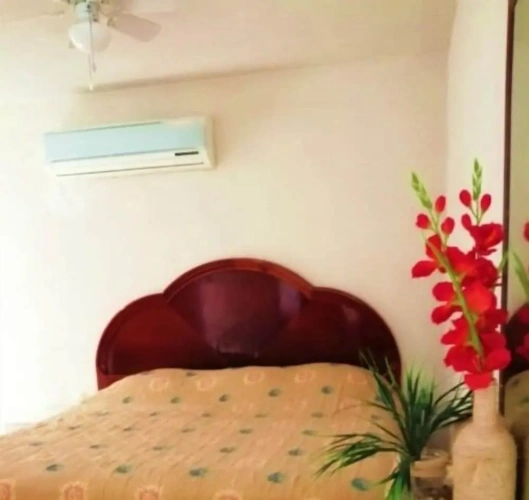 Comfort Suite