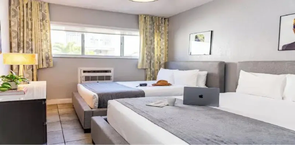1 Bedroom Suite