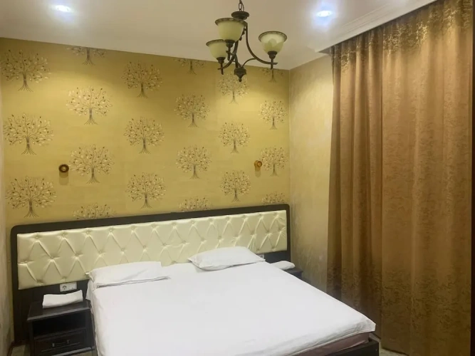 Comfort Double Apartment with garden view