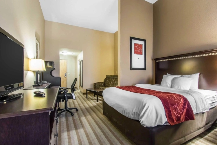 1 Bedroom Double Suite