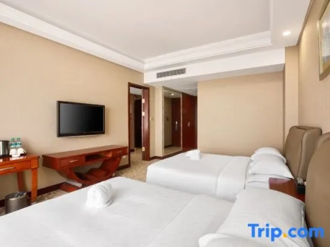 Triple Family Suite