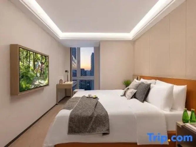 1 Bedroom Executive Single room