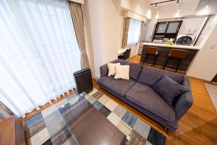 NIYS apartments 03 type
