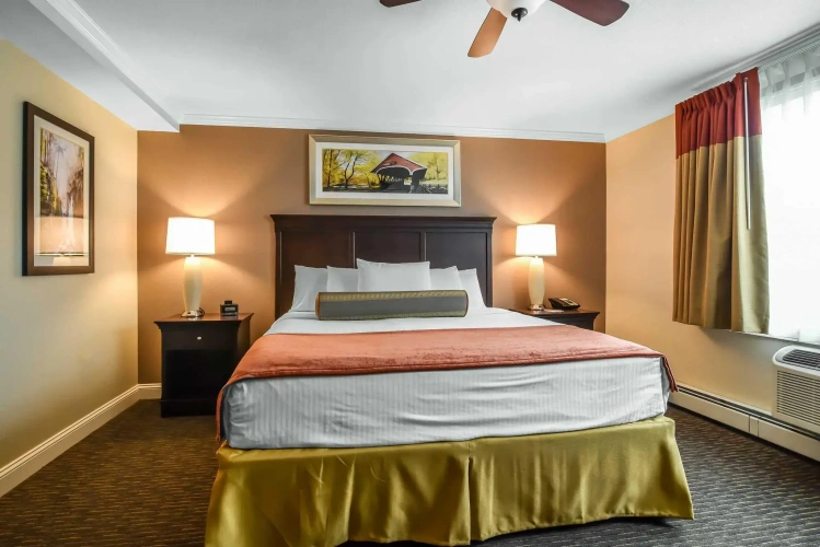 1 Bedroom Suite