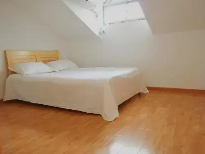 Designer Loft No.1 Wwf Room