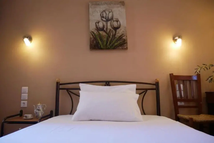 Standard Double room with balcony and with mountain view