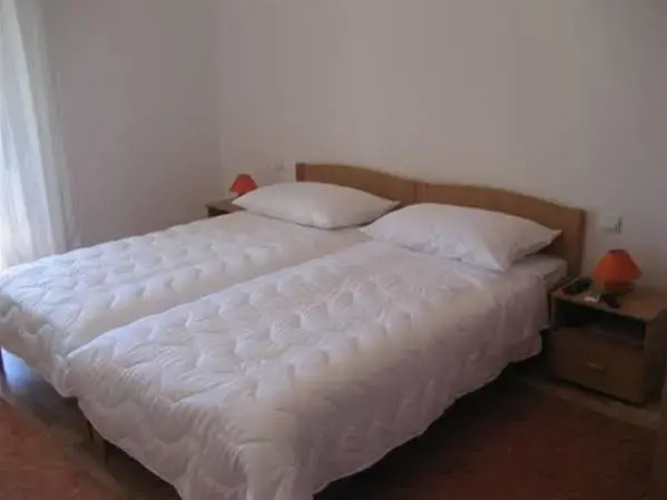 Villa Rozic
