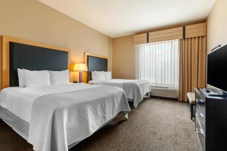 Quadruple Suite